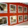 Pet display cages - MSLVC05